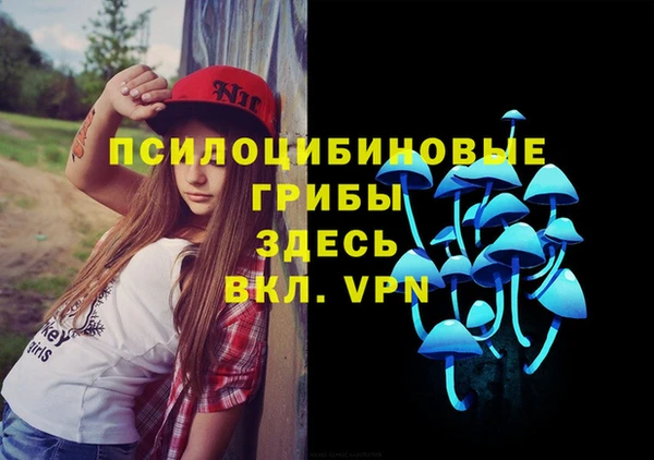 бошки Беломорск
