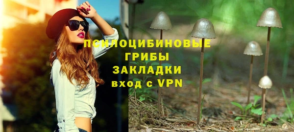 бошки Беломорск