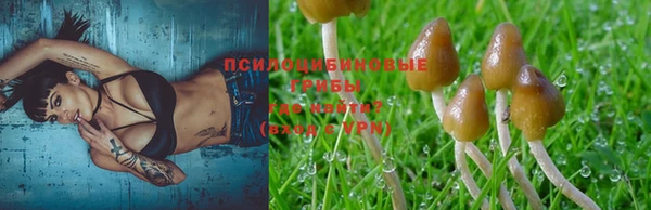бошки Беломорск