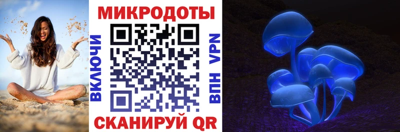 Галлюциногенные грибы GOLDEN TEACHER  магазин продажи наркотиков  Волжск 